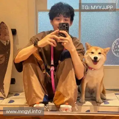 韶靓影